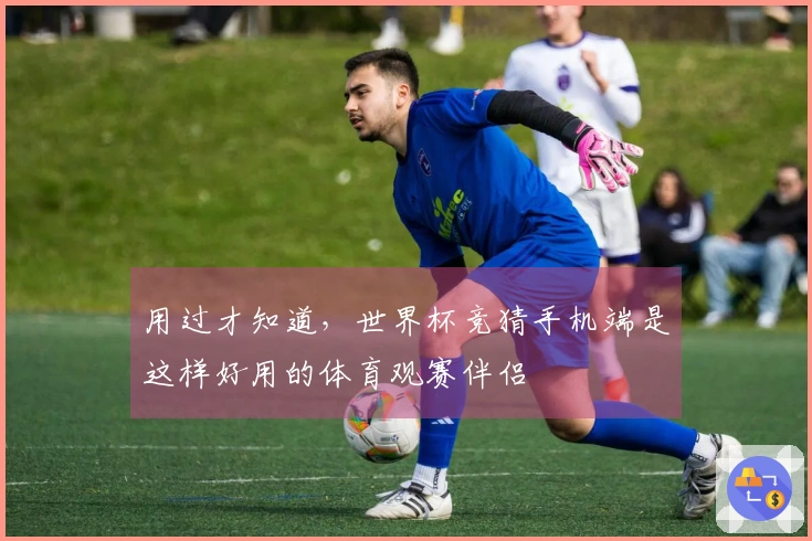 用过才知道,世界杯竞猜手机端是这样好用的体育观赛伴侣