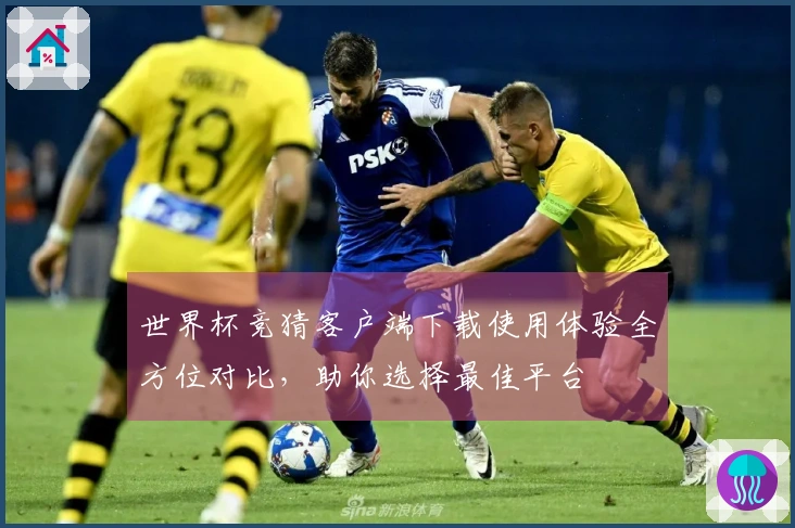 世界杯竞猜客户端下载使用体验全方位对比，助你选择最佳平台