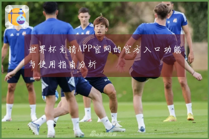 世界杯竞猜APP官网的官方入口功能与使用指南分析