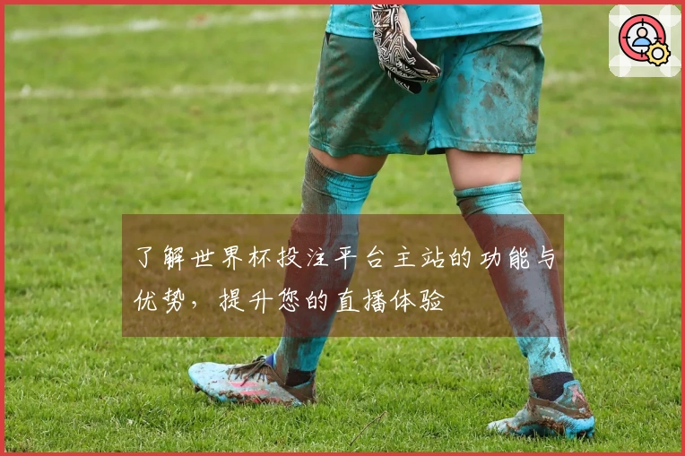 了解世界杯投注平台主站的功能与优势，提升您的直播体验