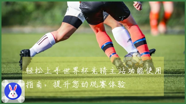 轻松上手世界杯竞猜主站功能使用指南，提升您的观赛体验