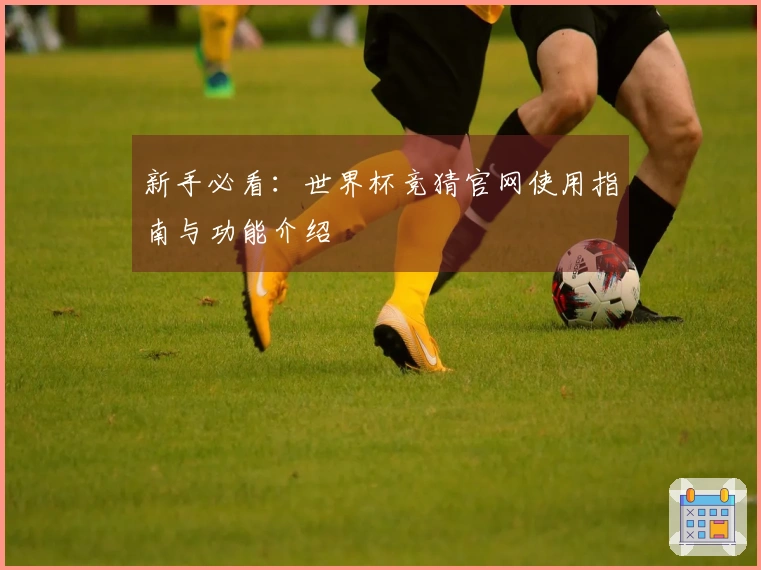 新手必看：世界杯竞猜官网使用指南与功能介绍