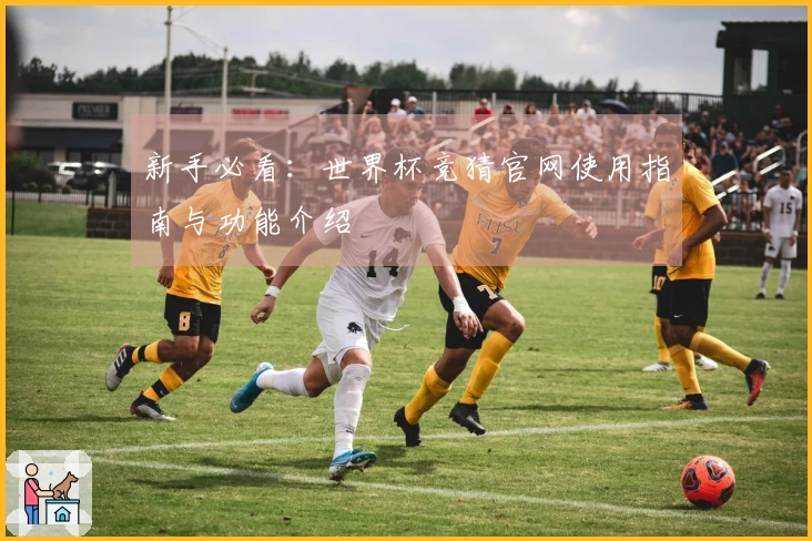 新手必看：世界杯竞猜官网使用指南与功能介绍